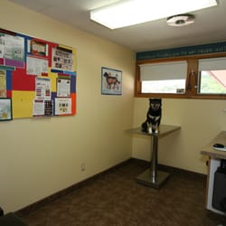 Family Pet Veterinary Center - Small Exam Room
