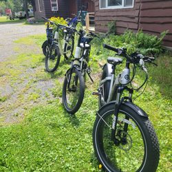 Brown Dog Adirondack Rentals - E-bikes $80 A Day!