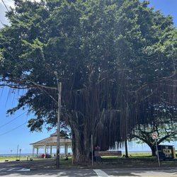 Mo’oheau Park