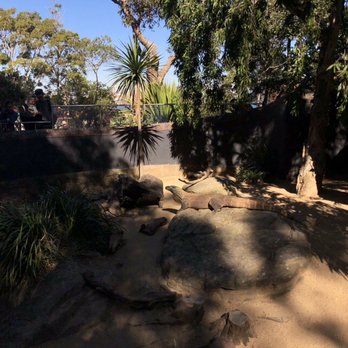 Taronga Zoo - The Komodo dragon lives here! - Zoos Near Me - Mosman, NSW