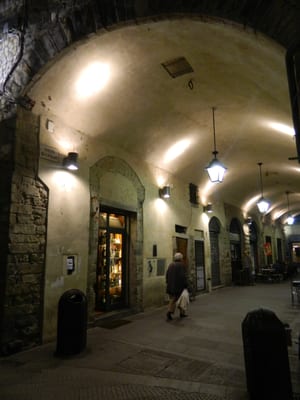 Antico Noè by null