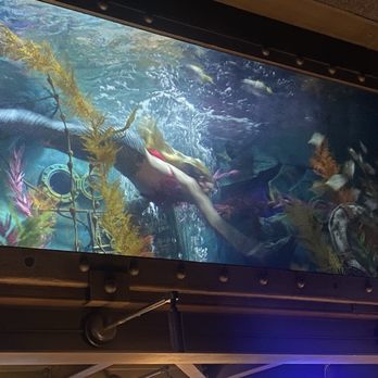 Dive Bar - Dive Bars Near Me - Sacramento, California