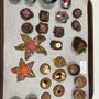 Photo of Dunn Family Chocolates - Concord