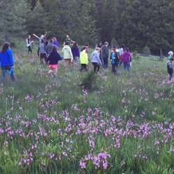 Waldorf School of the Peninsula - Los Altos Campus - Field trip