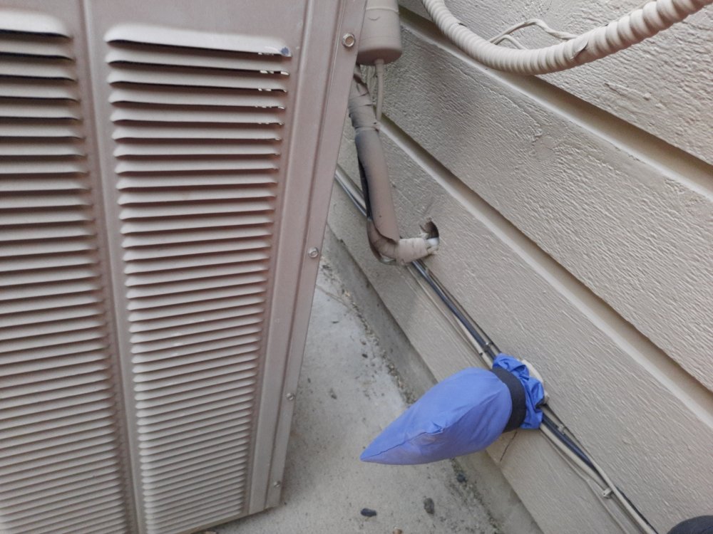 Slide of Nice Guy Niel