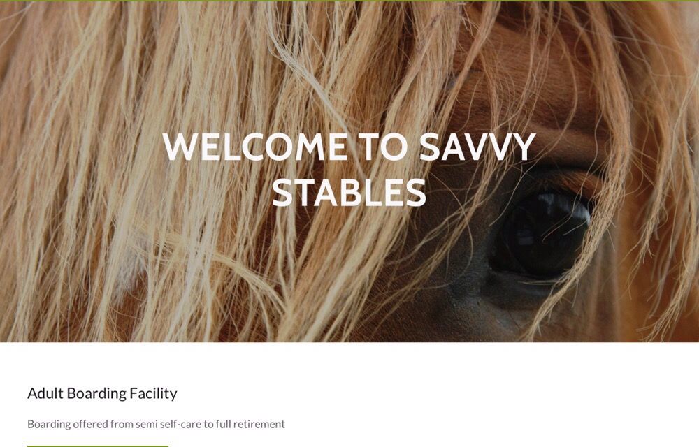 SAVVY STABLES Updated August 2024 5544 Meridian Rd, Vacaville