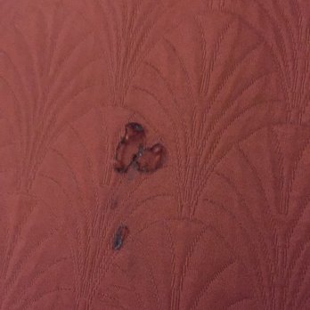 Sanger Inn - Cigarette burns in the comforter - Hotels Near Me - Sanger, Texas