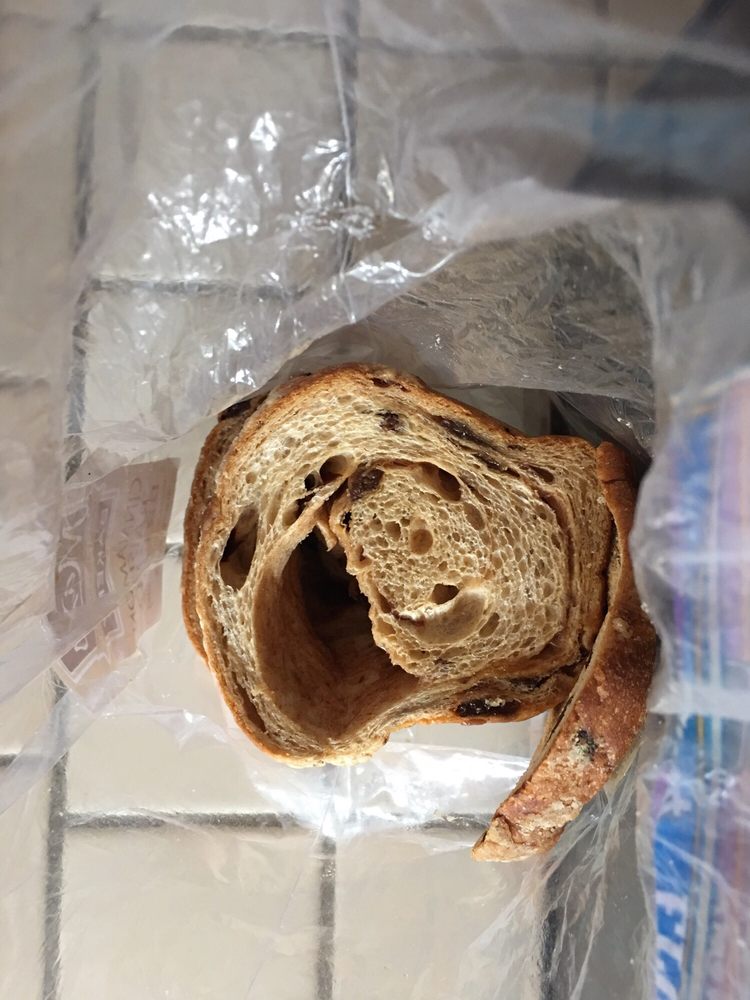 MAX’S ARTISAN BREADS Updated September 2024 Fresno, California