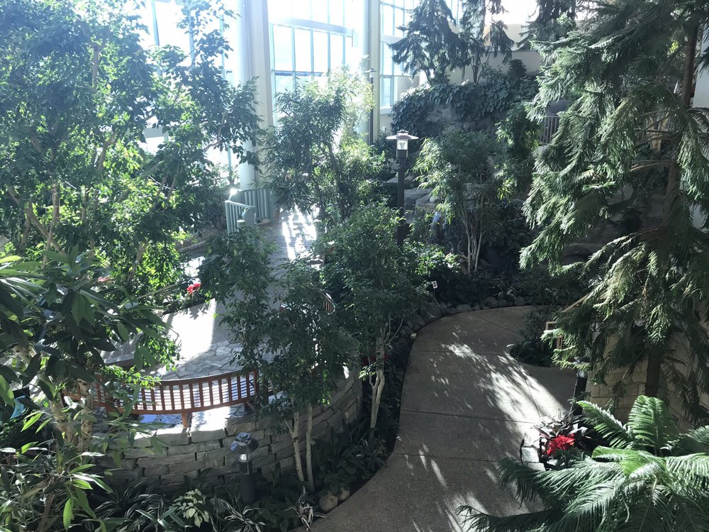 WOODBURY BRANCH WASHINGTON COUNTY LIBRARY 13 Reviews 8595 Central