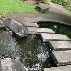 Lake Wilderness Arboretum - Floating bricks, just baffles the mind