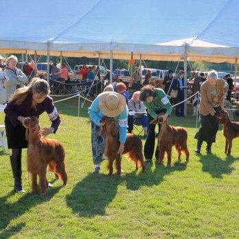 Delaware Valley Tent Rentals - Party Equipment Rentals Near Me Delaware Valley Tent Rentals - Party Equipment Rentals Near Me