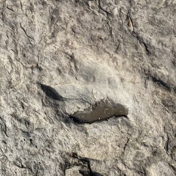 Dinosaur Footprints - Parks Near Me - Holyoke, Massachusetts