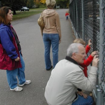 Issaquah Salmon Hatchery - looking at the juvenille fish - Tours Near Me - Issaquah, Washington