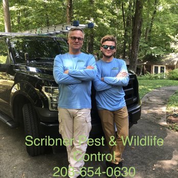 Scribner Pest & Wildlife Control - 203-654-0630 - Pest Control Near Me