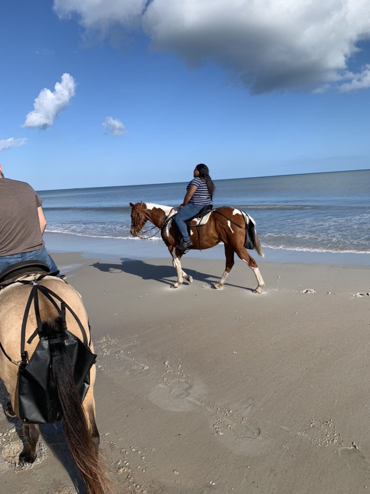 Florida Beach Rides - equestrian in Yulee, FL
