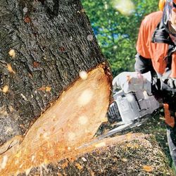 Perkins Property Maintenance