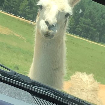 Alabama Safari Park - Zoos Near Me - Hope Hull, Alabama