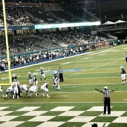 USF Bulls in action. USF Bulls in action.