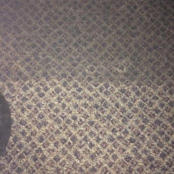 WNY Restoration - Carpet Cleaning Near Me WNY Restoration - Carpet Cleaning Near Me