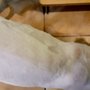 Photo of Siberian Pet Care