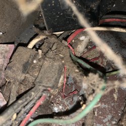 Quick Trip Appliance Repair - Beverage cooler power supply harness