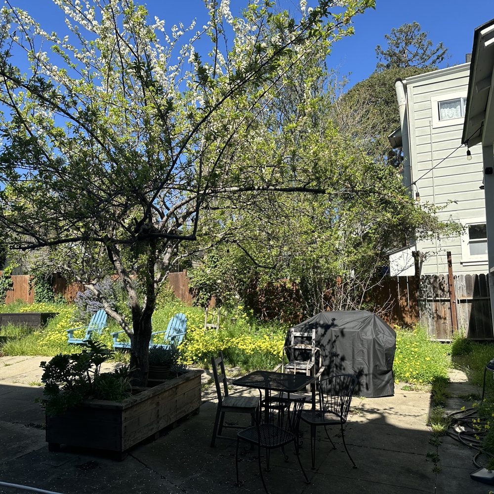 Perfect Landscaping Services - The before picture, notice the chairs. - Landscaping Near Me Perfect Landscaping Services - The before picture, notice the chairs. - Landscaping Near Me