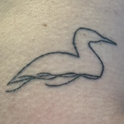 Canadian Loon