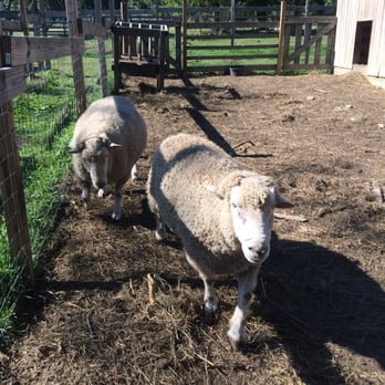 Benner's Farm - Venues & Event Spaces Near Me - East Setauket, New York
