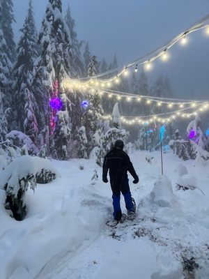 Cypress Mountain by null