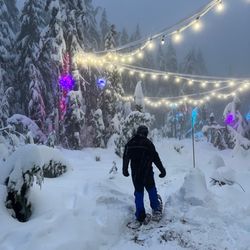 Cypress Mountain - Lights to the Lodge - snowshoeing.