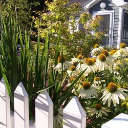 NewLand Nursery & Landscaping - Garden design and construction