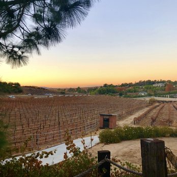 Lumiere Winery - Beautiful Vineyard at Lumiere Winery - Wineries Near Me - Temecula, California Lumiere Winery - Beautiful Vineyard at Lumiere Winery - Wineries Near Me - Temecula, California