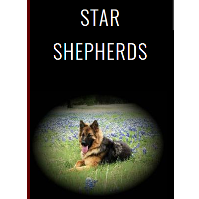Star Shepherds