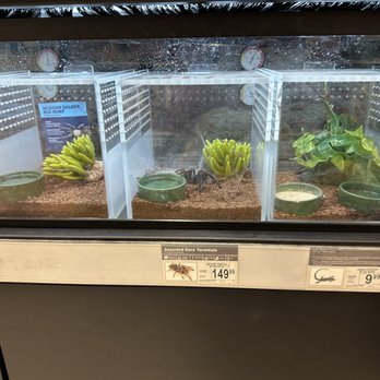 Petco - Pet Stores Near Me - San Diego, California Petco - Pet Stores Near Me - San Diego, California
