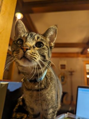 Ember Hostel by null