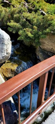 Kasugai Gardens by null