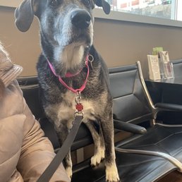 Waiting for her appointment.