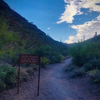 David Yetman Trail - Trailhead - Hiking Near Me - Tucson, Arizona