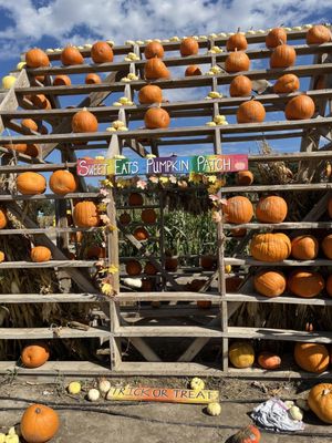 Sweet Eats Adventure Farm & Petting Zoo by null