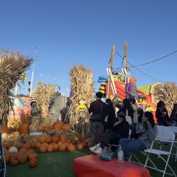 ABC Tree Farms