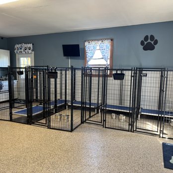 Highland Kennels - Benji on for the pups all night! - Pet Boarding Near Me - Marengo, Ohio Highland Kennels - Benji on for the pups all night! - Pet Boarding Near Me - Marengo, Ohio