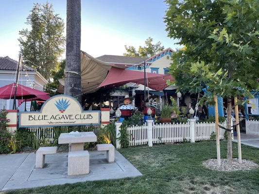 Blue Agave Club by null