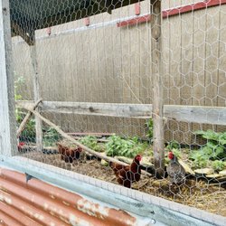 Bullhouse Winery - The coop.