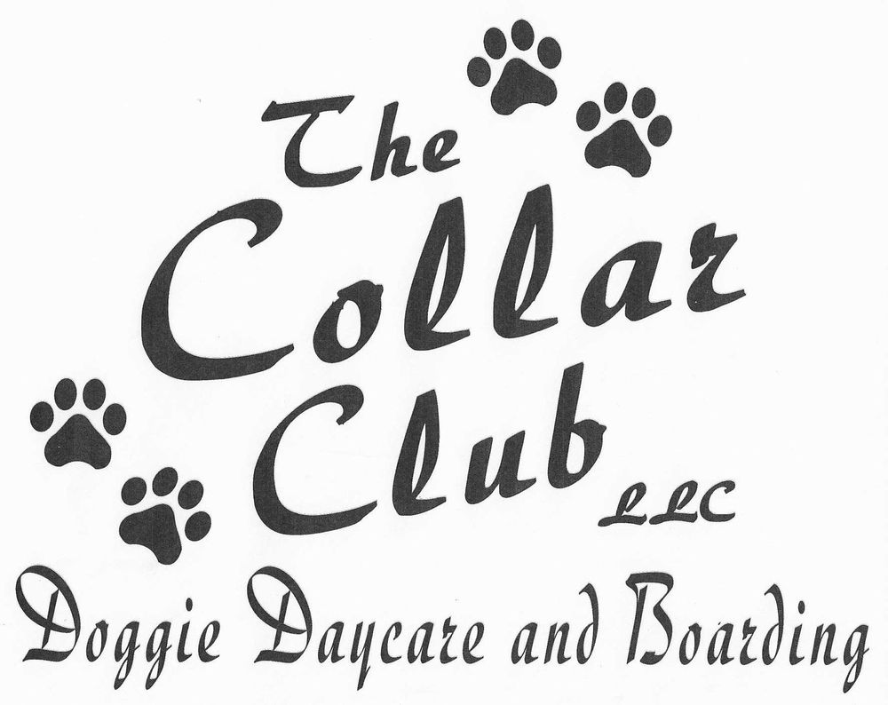 THE COLLAR CLUB Updated August 2024 1113 Florence Blvd, Florence