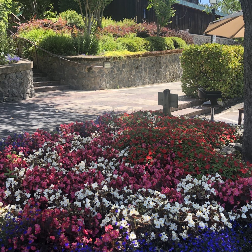 Far Niente - Wineries Near Me - Oakville, California