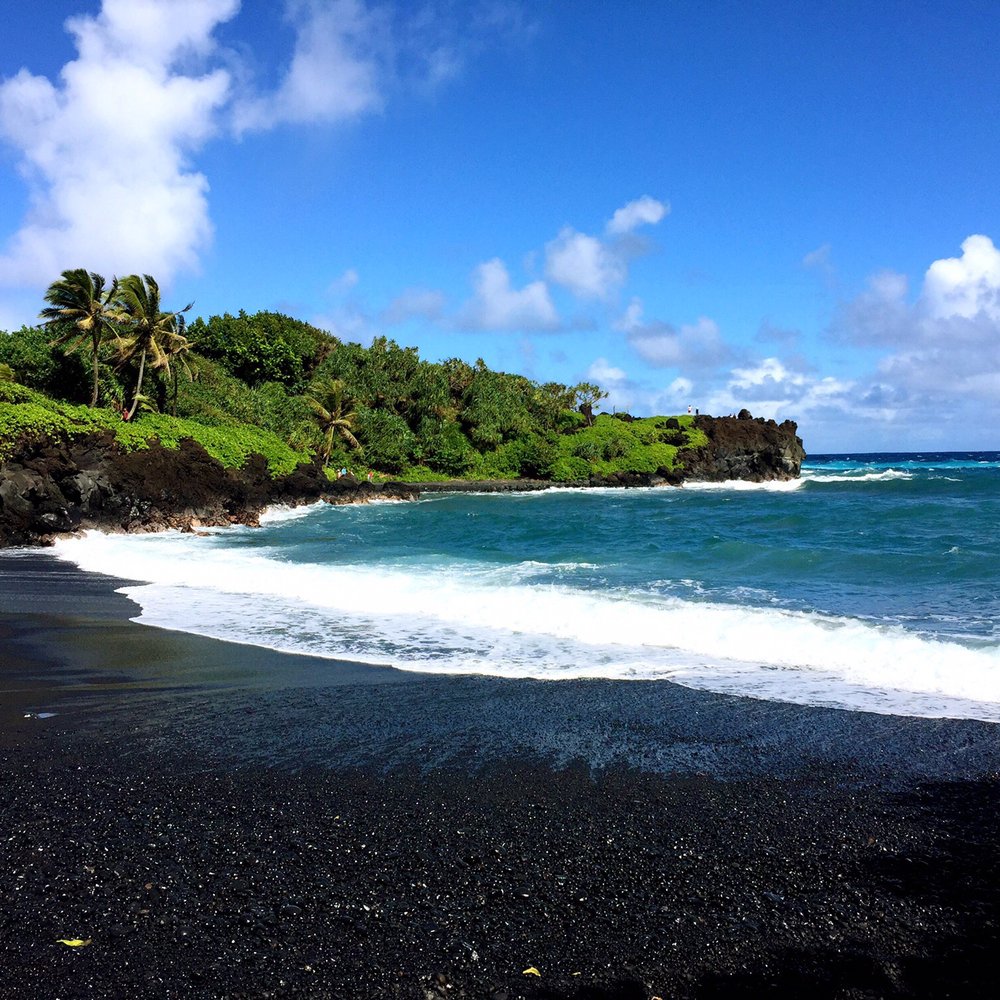 Sandy Cheeks Tours - Tours Near Me Sandy Cheeks Tours - Tours Near Me