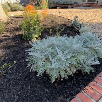 Union Landscape - After (3 of 3) - Landscaping Near Me