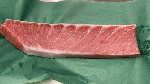 Rocket Sushi Conveyor Belt by null