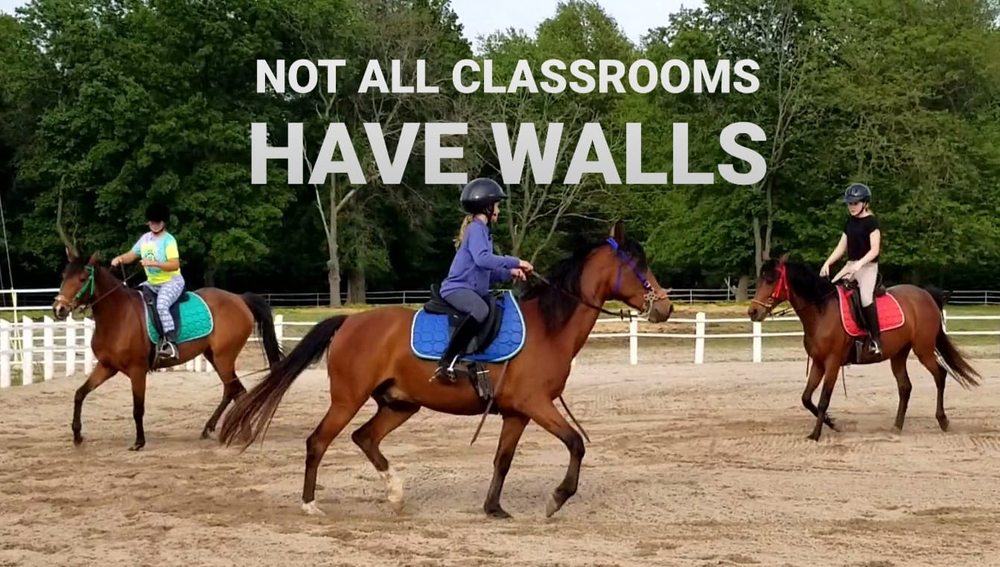 Rise Again Riding School - equestrian in Phil Campbell, AL