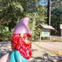 Photo of The Northshore Visitor